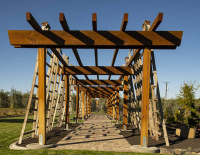 Orchard Ladder trellis