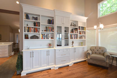 Custom Library wall
