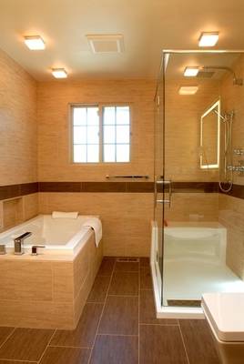 Tub and Shower with bench