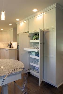 Pull out rolling shelves