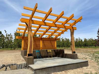 Live Edge shelter with pavers