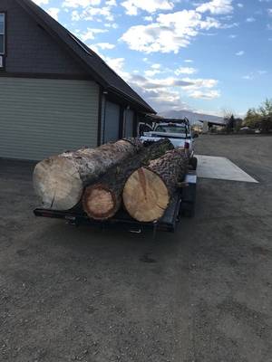 Logs ready to slab